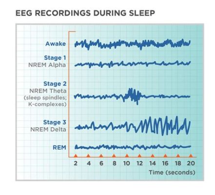  「Finding Flow」: 心の深い眠りから目覚めさせる、マーケティングの新たな流れ