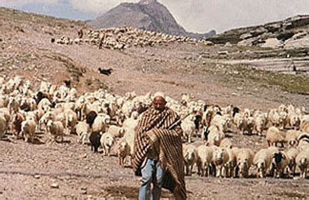  「Pastoral Nomadism」：イランの伝統と現代を結ぶ農業の詩