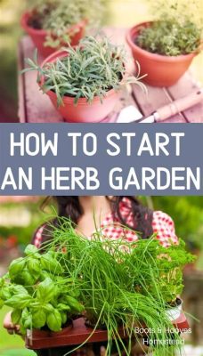  「Herb Gardening for Beginners」:  魅惑のハーブ栽培の世界へようこそ！